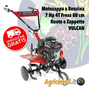 Motozappa A Scoppio Agricereali It