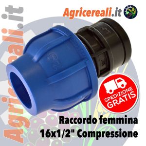 Raccordo femmina 16x1/2" Compressione