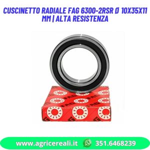 Cuscinetto Radiale FAG 6300-2RSR Ø 10x35x11 mm | Alta Resistenza