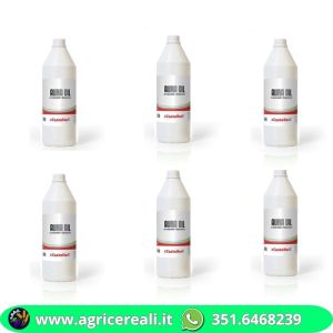 Olio lubrificante per abbacchiatore e scuotitore 6 litri Castellari