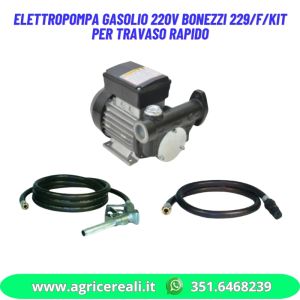 Elettropompa gasolio 220V Bonezzi 229-F-KIT per travaso rapido