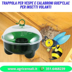 Trappola per vespe e calabroni GUEP'CLAC per insetti volanti