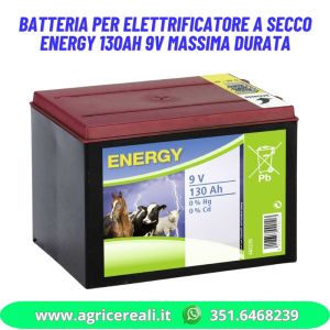Batteria per elettrificatore a secco ENERGY 130Ah 9v Massima Durata