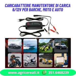 Caricabatterie manutentore di carica 6/12V per barche, moto e auto
