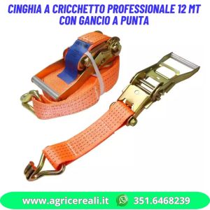 Cinghia a cricchetto professionale 12 mt con gancio a punta