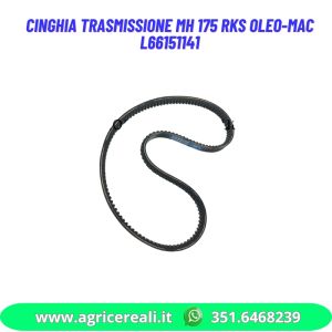 Cinghia trasmissione MH 175 RKS Oleo-Mac L66151141