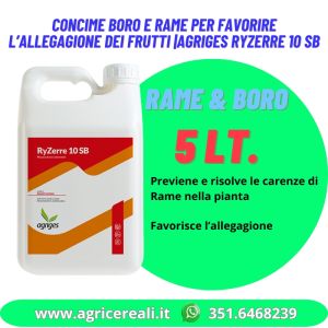 Concime Boro e Rame per favorire l’allegagione dei frutti |AGRIGES Ryzerre 10 SB