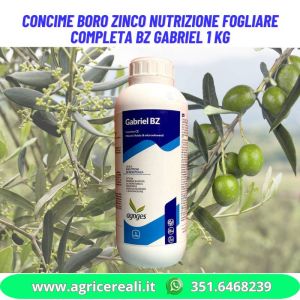 Concime Boro Zinco per Allegagione e formazione dei frutti BZ Gabriel 1 kg