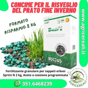 Concime prato Sprint?N Kg?2 recupera prato ingiallito in 7 giorni