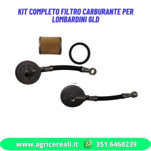 Kit completo filtro carburante per Lombardini 6LD