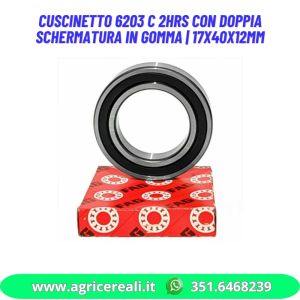 Cuscinetto 6203 C 2HRS con doppia schermatura in gomma | 17x40x12mm