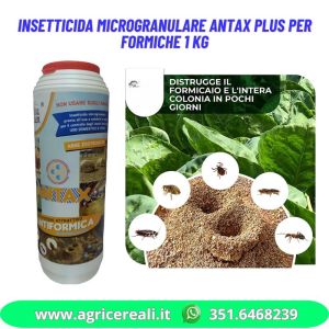 Insetticida microgranulare Antax Plus per formiche 1 Kg