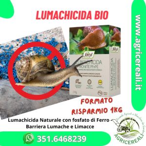 Lumachicida naturale con fosfato ferrico – Barriera Lumache e Limacce 1 kg