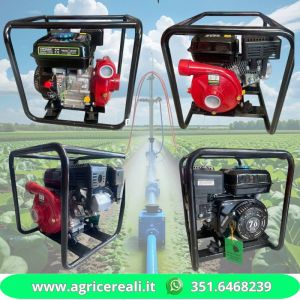 Motopompa centrifuga VULCAN VPP210-5040C per irrigazione