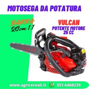 Motosega da potatura Vulcan 25cc leggera e precisa barra carving 20 cm