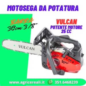 Motosega Vulcan MS2500E 25,4cc con barra da 30 cm 3/8"