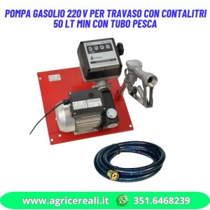 Pompa gasolio 220V per travaso con contalitri 50 Lt min