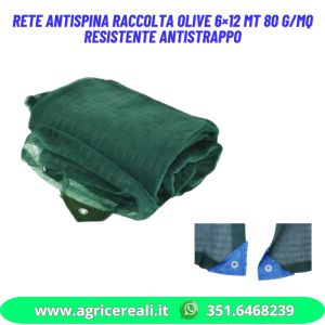 Rete antispina raccolta olive 6×12 mt 80 g/mq Resistente Antistrappo