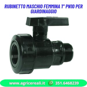 Rubinetto maschio femmina 1" PN10 per giardinaggio