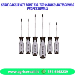 Serie cacciaviti Torx T10-T30 manico antiscivolo Professionali