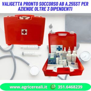 Valigetta pronto soccorso AB A.255ST per aziende oltre 3 dipendenti
