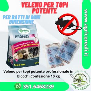 Veleno Potente per topi e ratti di Ogni Dimensione Bromus Red Esca Fresca 150g