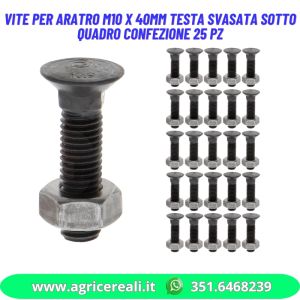 Vite per aratro M10x40mm testa svasata sotto quadro confezione 25 pz
